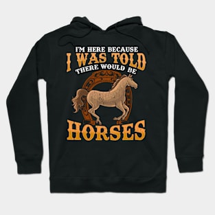 I Was Told There Would Be Horses Hoodie